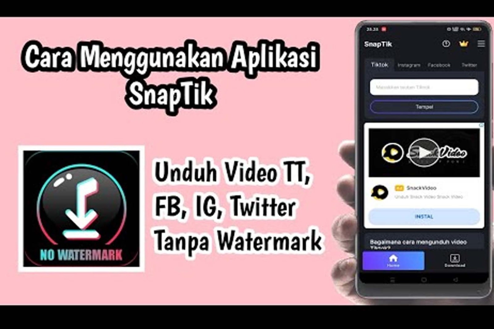 SnapTik interface Instagram