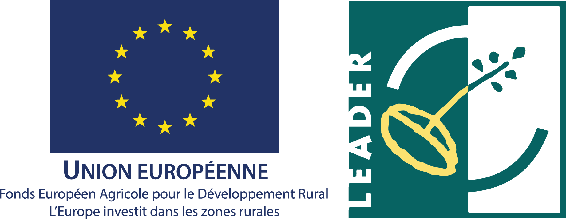 Logo officiel de l'Union Européenne