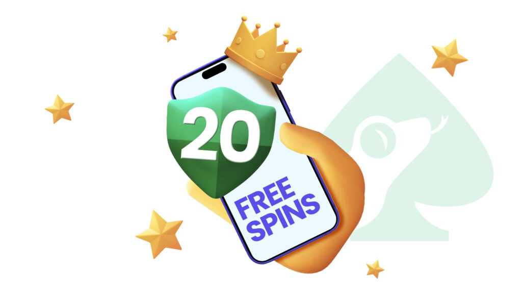 Top des casinos avec bonus de 20 free spins pour joueurs en 2025